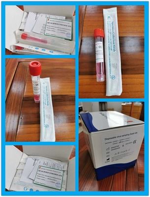 tube jetable de collection de spécimen 10ml